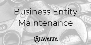 Business Entity Maintenance